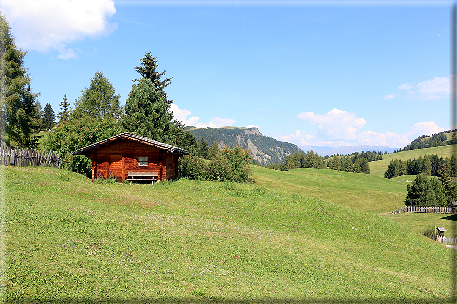 foto Alpe di Siusi